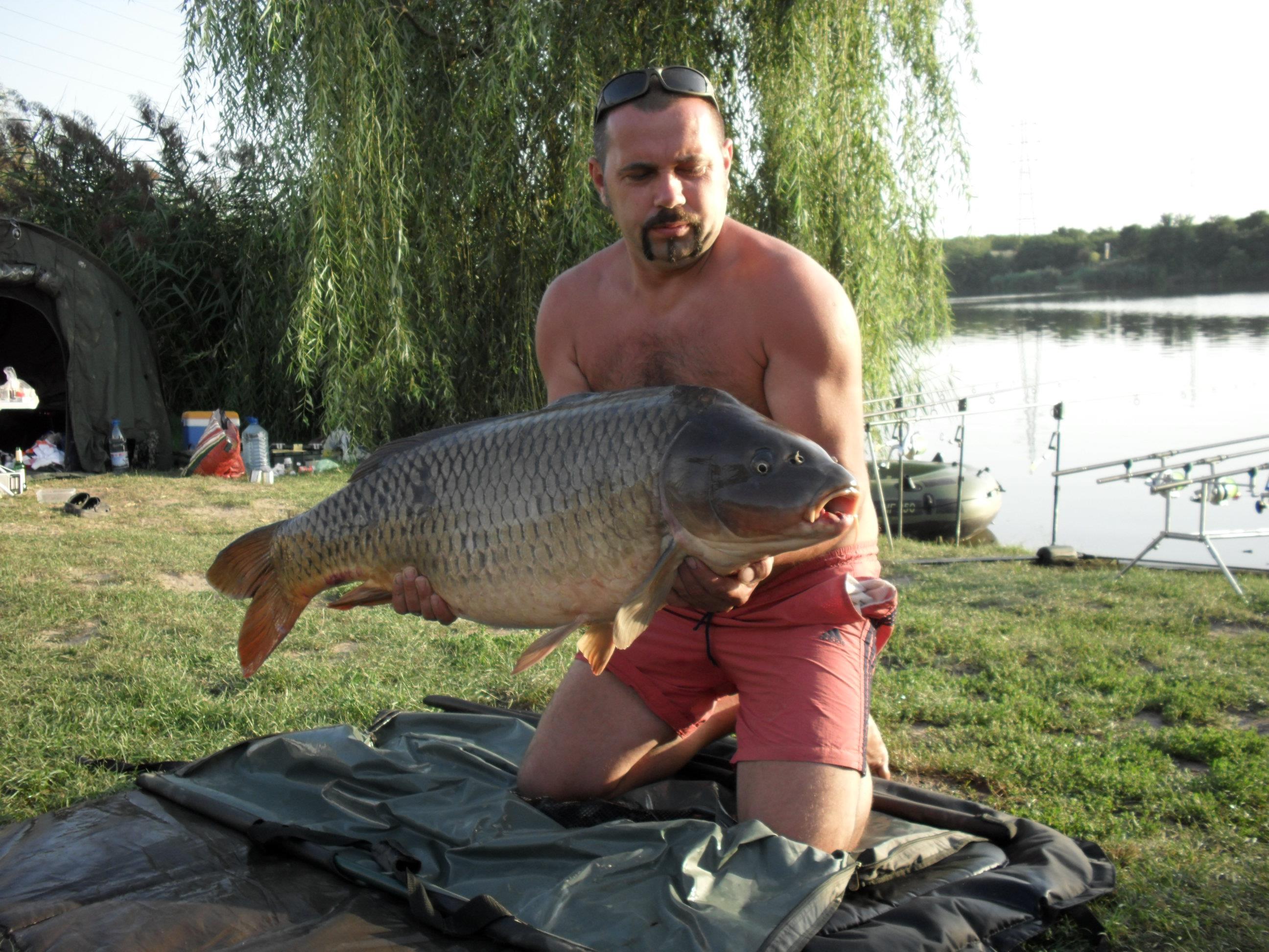 somn mania tancabesti - SAM_0869.JPG